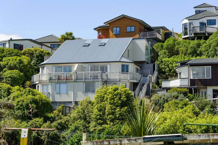 21b Pelorous Street Paparangi_0