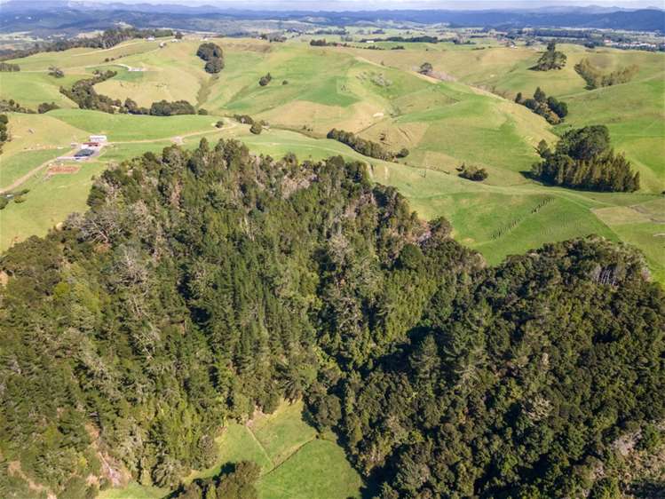 69 Fraser Road Kawakawa_12