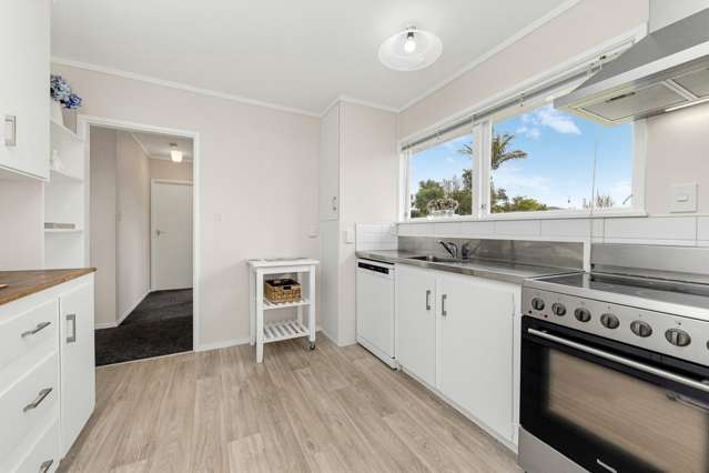31 Sunvue Road Glen Eden_4