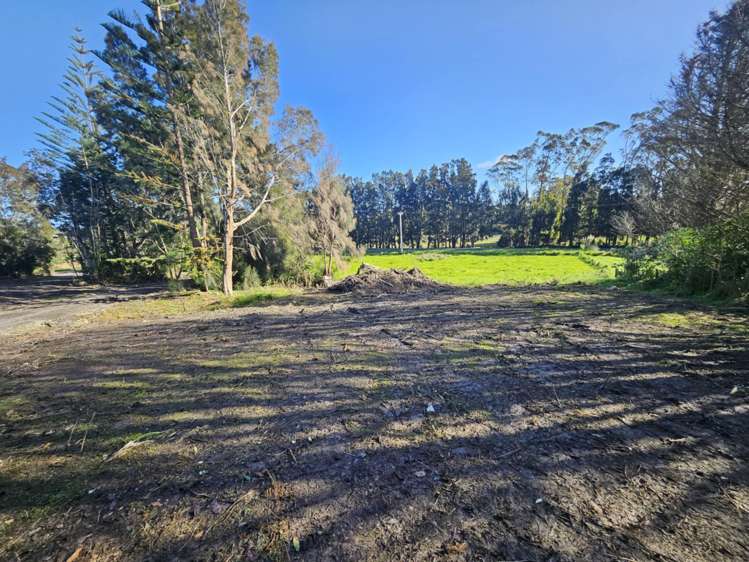 4873 State Highway 10 Lake Ohia_12