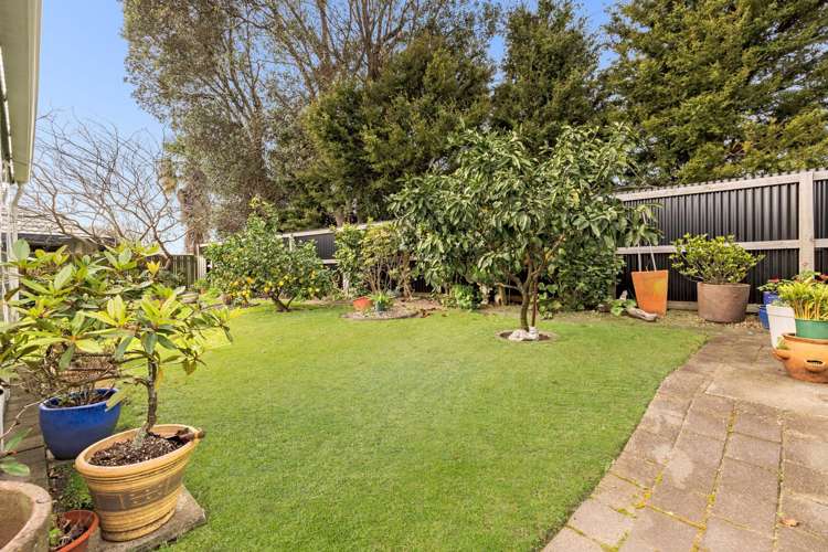 169b Maungatapu Road Maungatapu_19