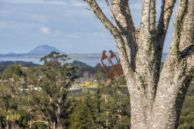 313A Woodland Road Katikati_4