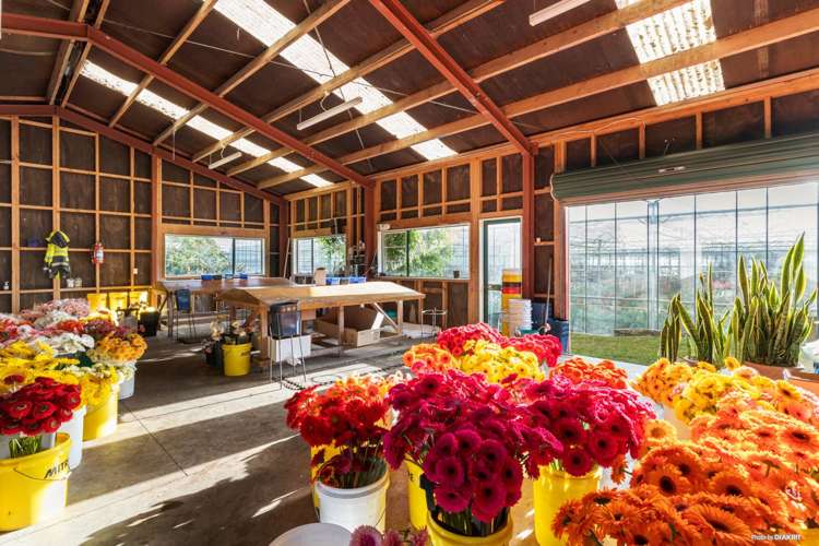 12 William Potter Lane Karaka_17