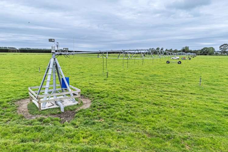 94 Brogdens Road Lowcliffe_6