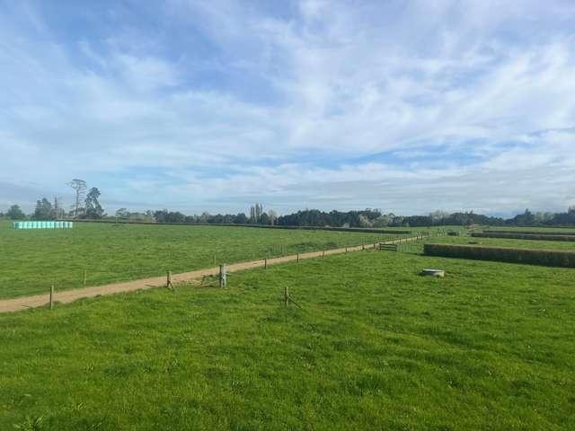 205 Taihoa North Road Matamata_2