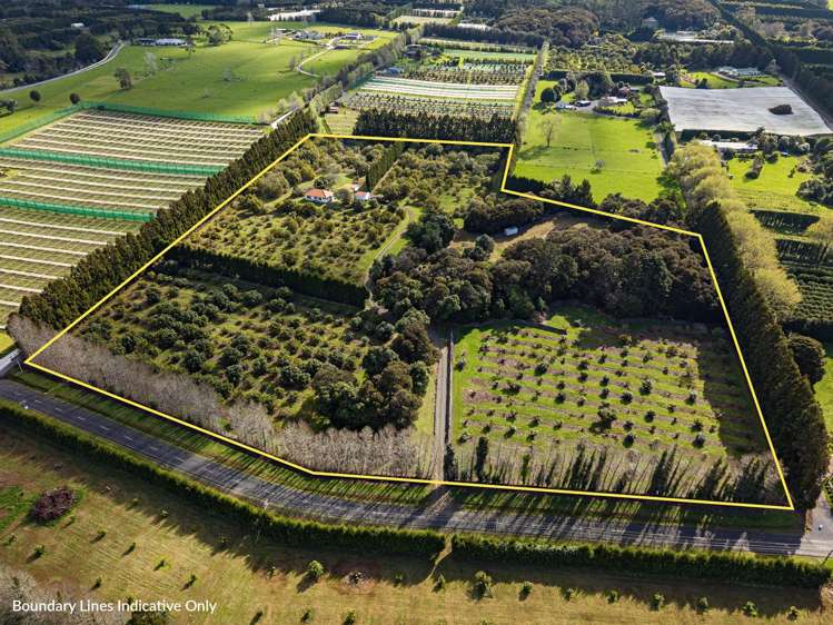 131 Tatton Road Maungatapere_21