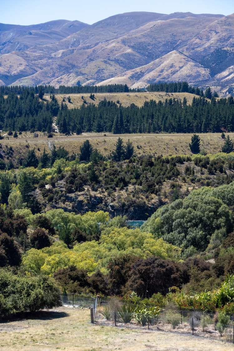 22 Jackson Rise Luggate_13