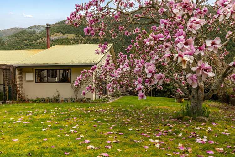 420 Wakamarina Road Canvastown_14