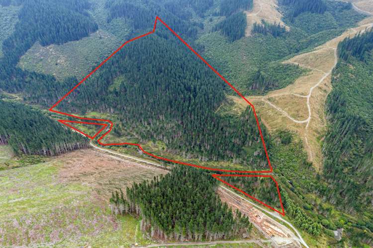 Te Moana Road Geraldine_0