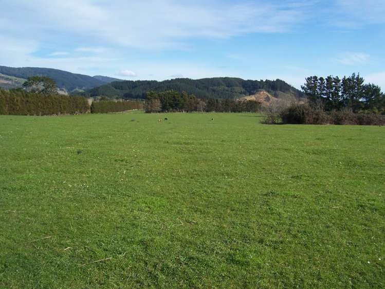 241 Muhunoa East Road Ohau_5