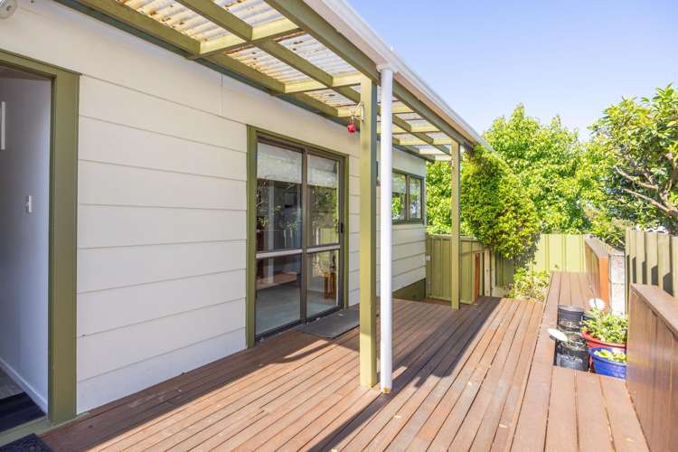 28 Gilbass Avenue Hamilton Lake_26