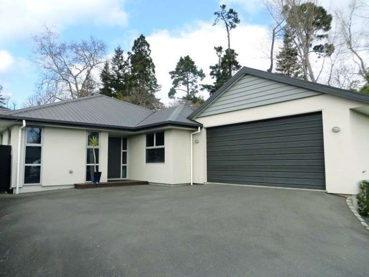 21 Suter Street Stoke_19