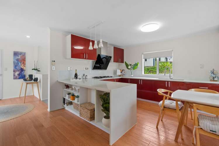 298B Mount Albert Road Sandringham_2