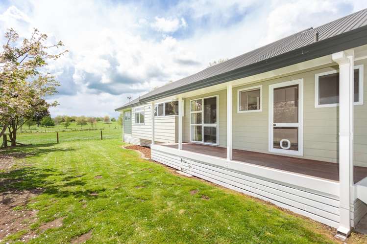 667 Hutchinson Road Morrinsville_2