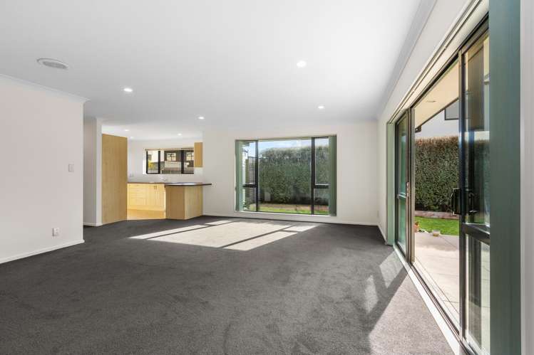 46a Plunket Street Spreydon_5