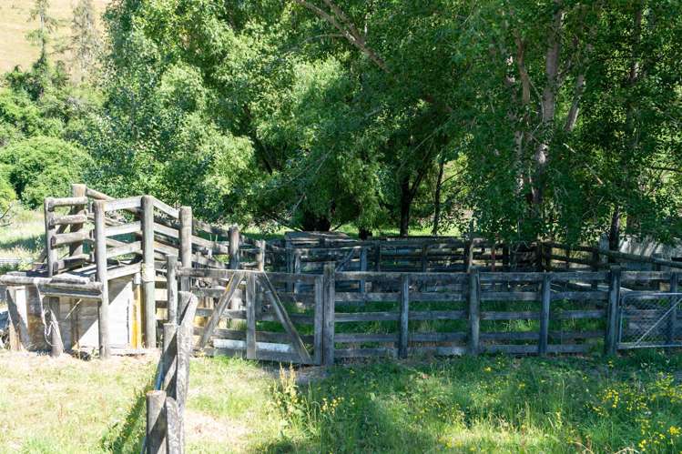 300 Sunday Creek Road Thorpe_48