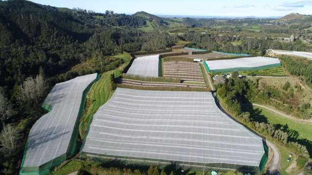 37 and 36B Demeter Road Te Puke_4