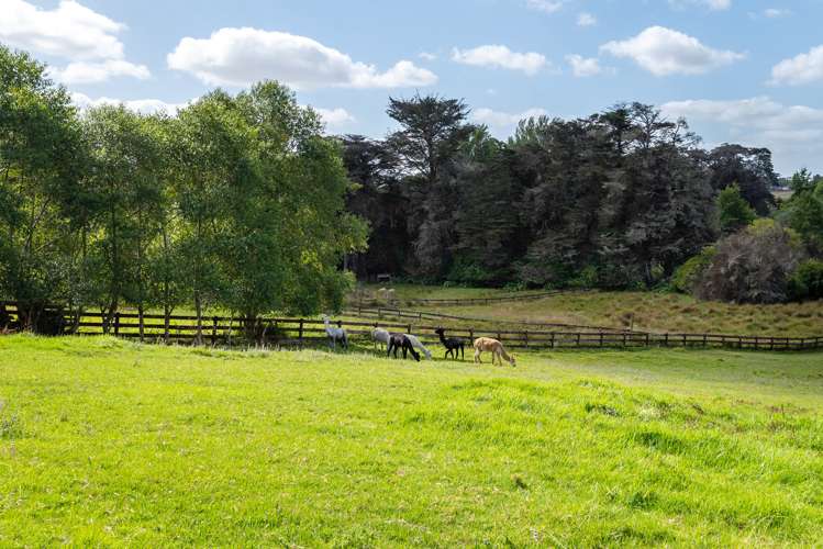 224b Bawden Road Dairy Flat_45