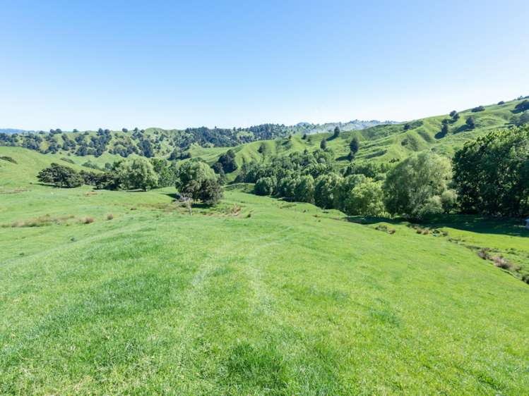 184 Lairdvale Road Taumarunui_27
