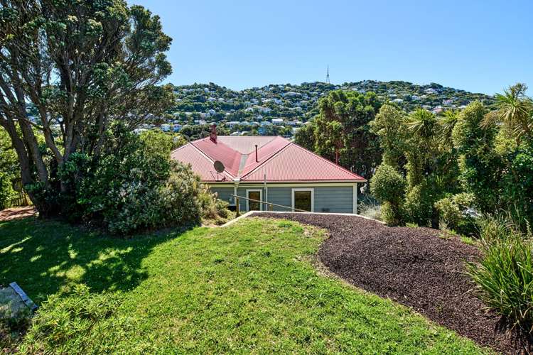 29 Waipapa Road Hataitai_23