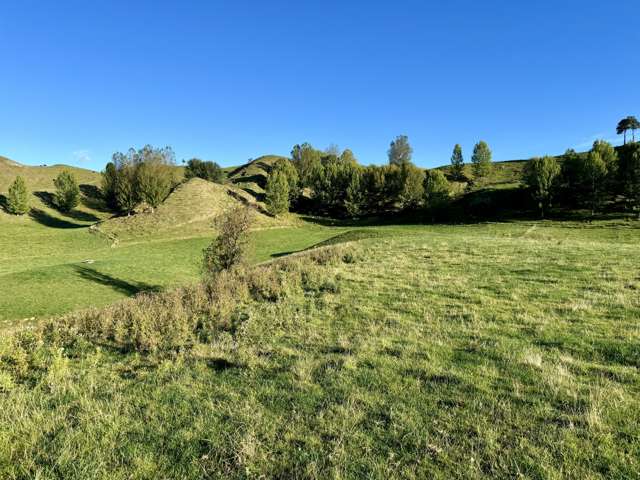 894 Otuarei Road Rangitikei Surrounds_2