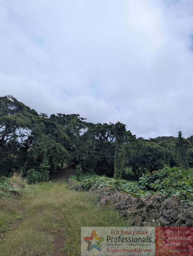 Address withheld Taveuni_14