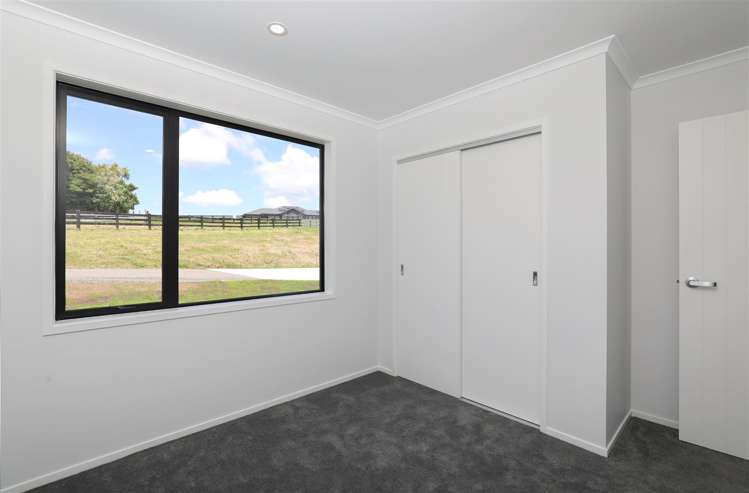 81 Vineyard Road Te Kauwhata_17