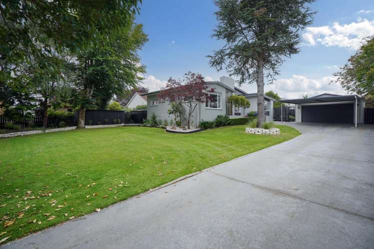 101 Ward Street Waverley_18