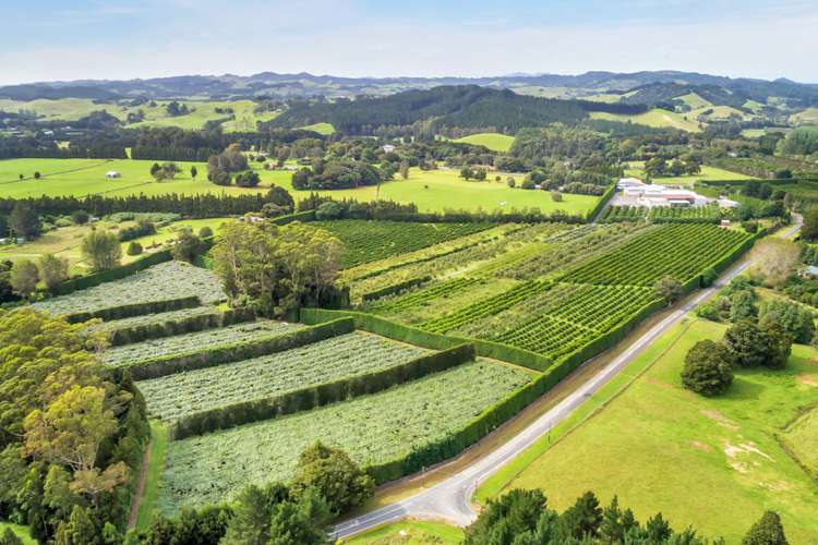 Maruata Road Maungatapere_0