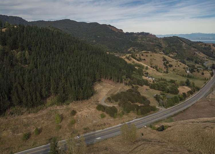 584 Wakapuaka Road Wakapuaka_21