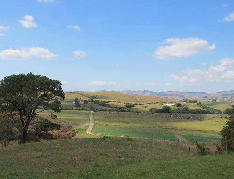 314 Martin Road Waerenga_6