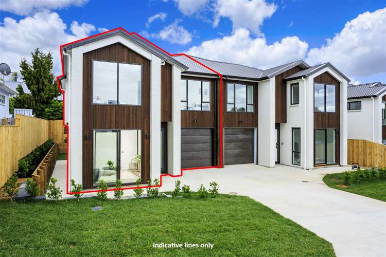 2 Livingstone Street Milford_0