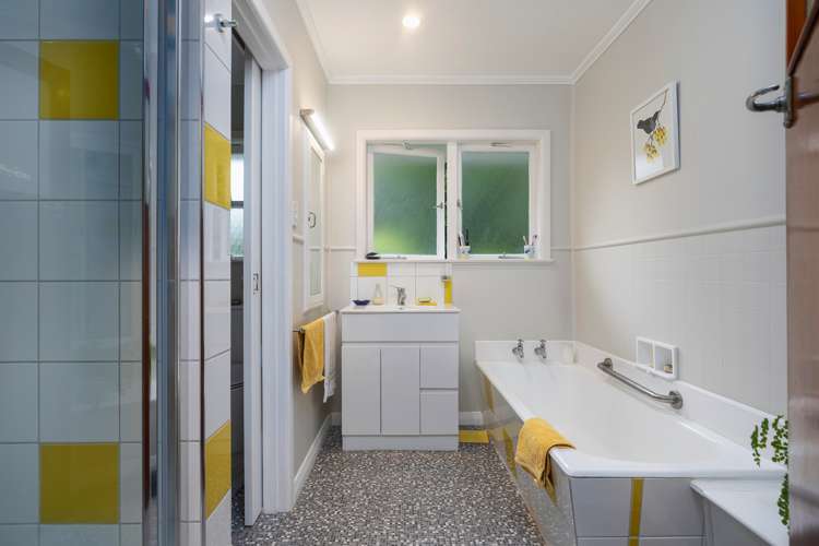 18 Amandale Avenue Mount Albert_15