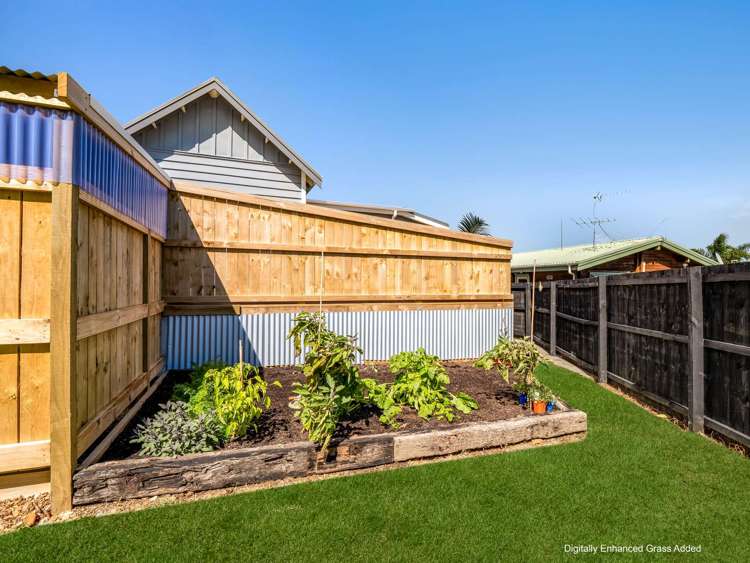 62 Prospect Terrace Pukekohe_5