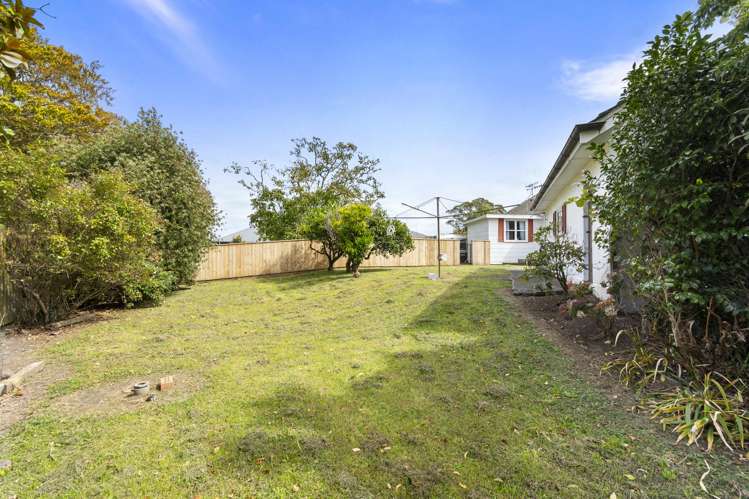 33 Daniell Street Bulls_26