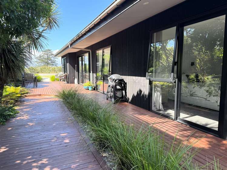 23 Pandora Avenue Camerons_26
