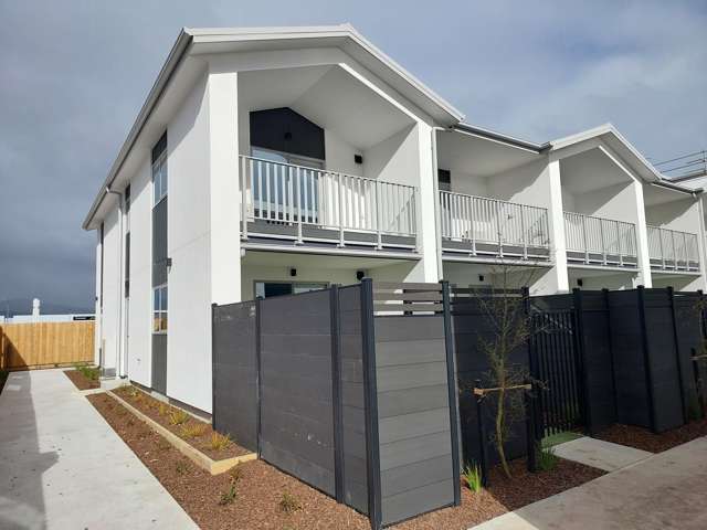 Brand New Modern 1 Bedroom Apartment
