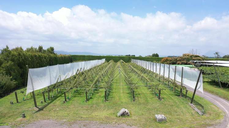 439 West Bank Road Edgecumbe_5
