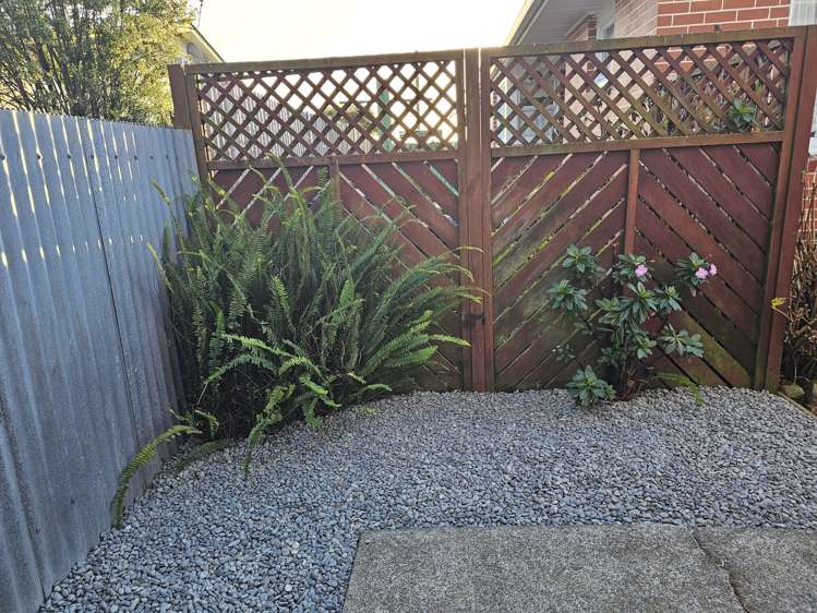 33 Stuckey Street Levin_11