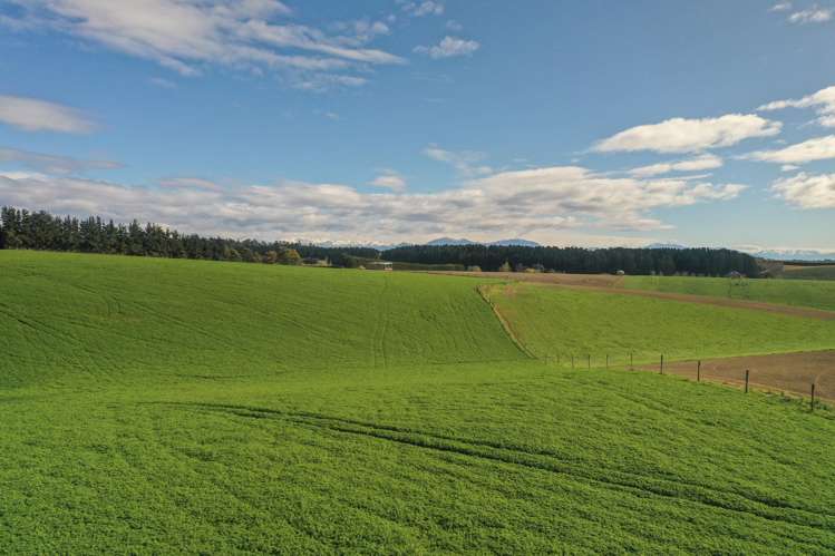 140 King Road Rosewill_10