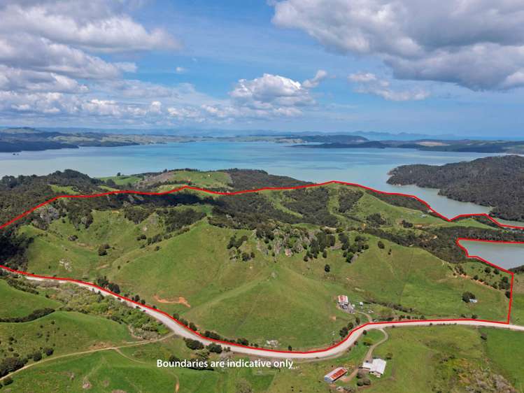 Te Papatapu Road Raglan_30