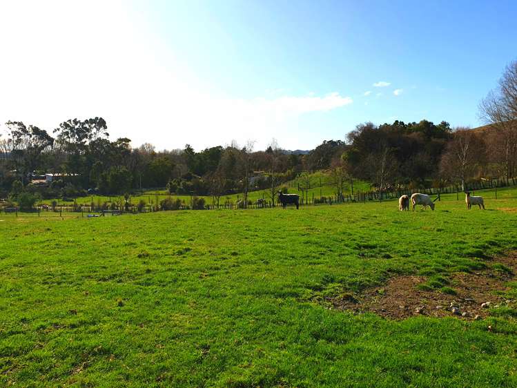 164 Mount Herbert Road Waipukurau and Surrounds_26