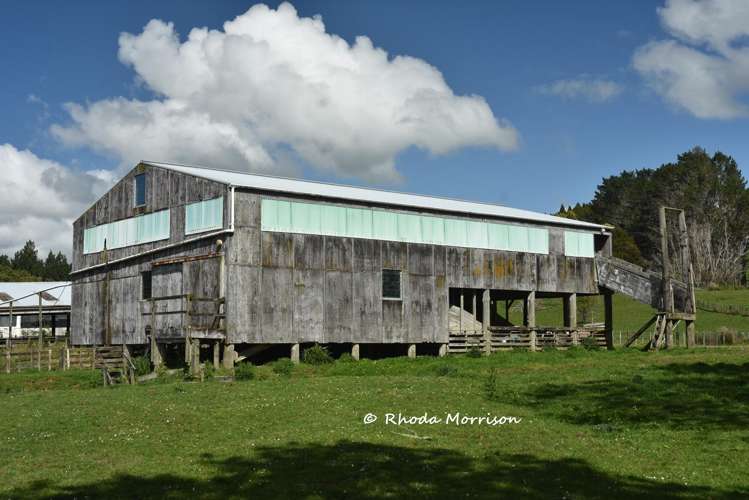 726 Paparoa Station Road Maungaturoto_95