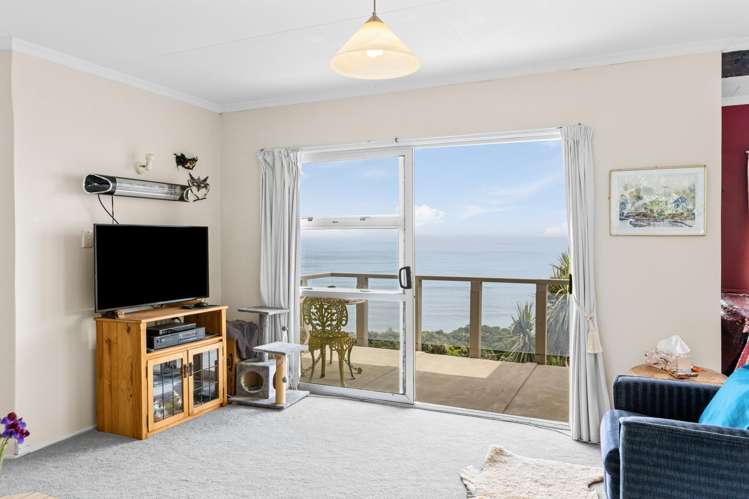 280 Nikau Road, State Highway 67 Nikau_6