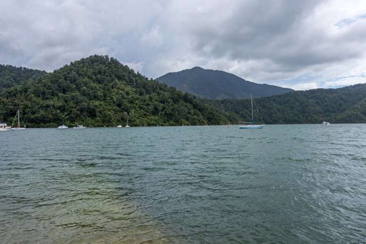 11 Matai Street Duncan Bay_29