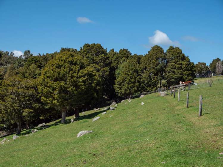 732 Waiare Road Kerikeri_31