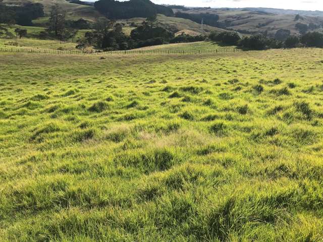 1436 Old North Road Helensville_3