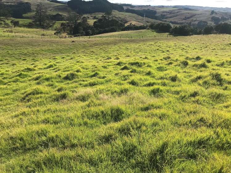 1436 Old North Road Helensville_3