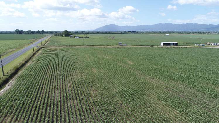 1291 Alexandra Road Waharoa_14