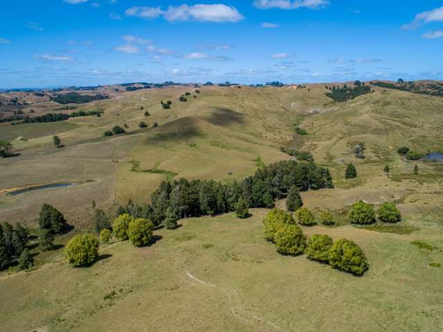 565 Matakitaki Road Glen Murray_1